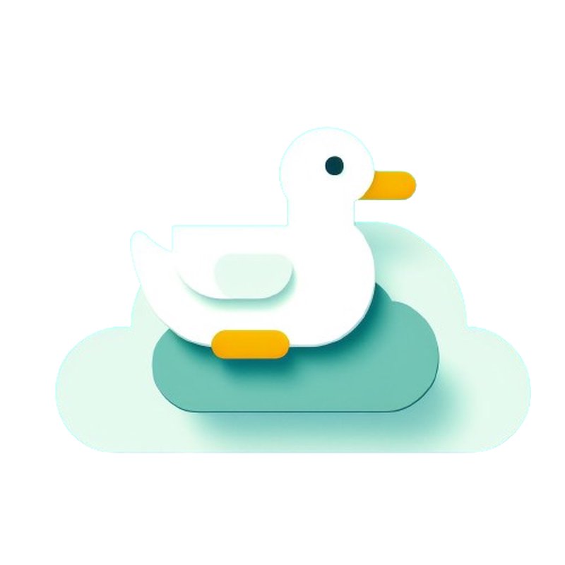 Duck API project screenshot showing the main interface and features